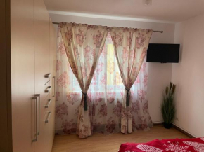 Apartament Amira Petroşani